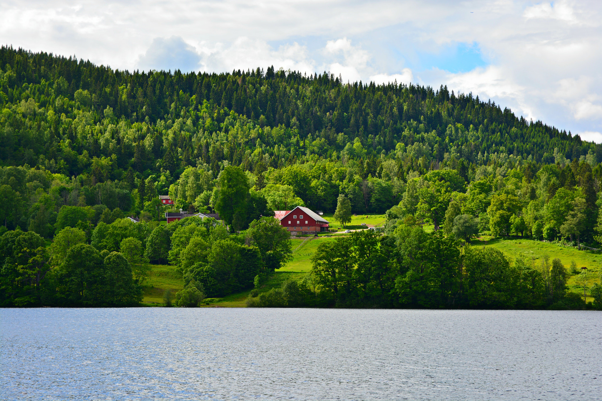 Nikon D5200 sample photo. Asker photography