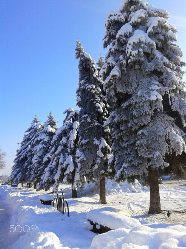 Samsung Galaxy Core sample photo. The street in winter photography