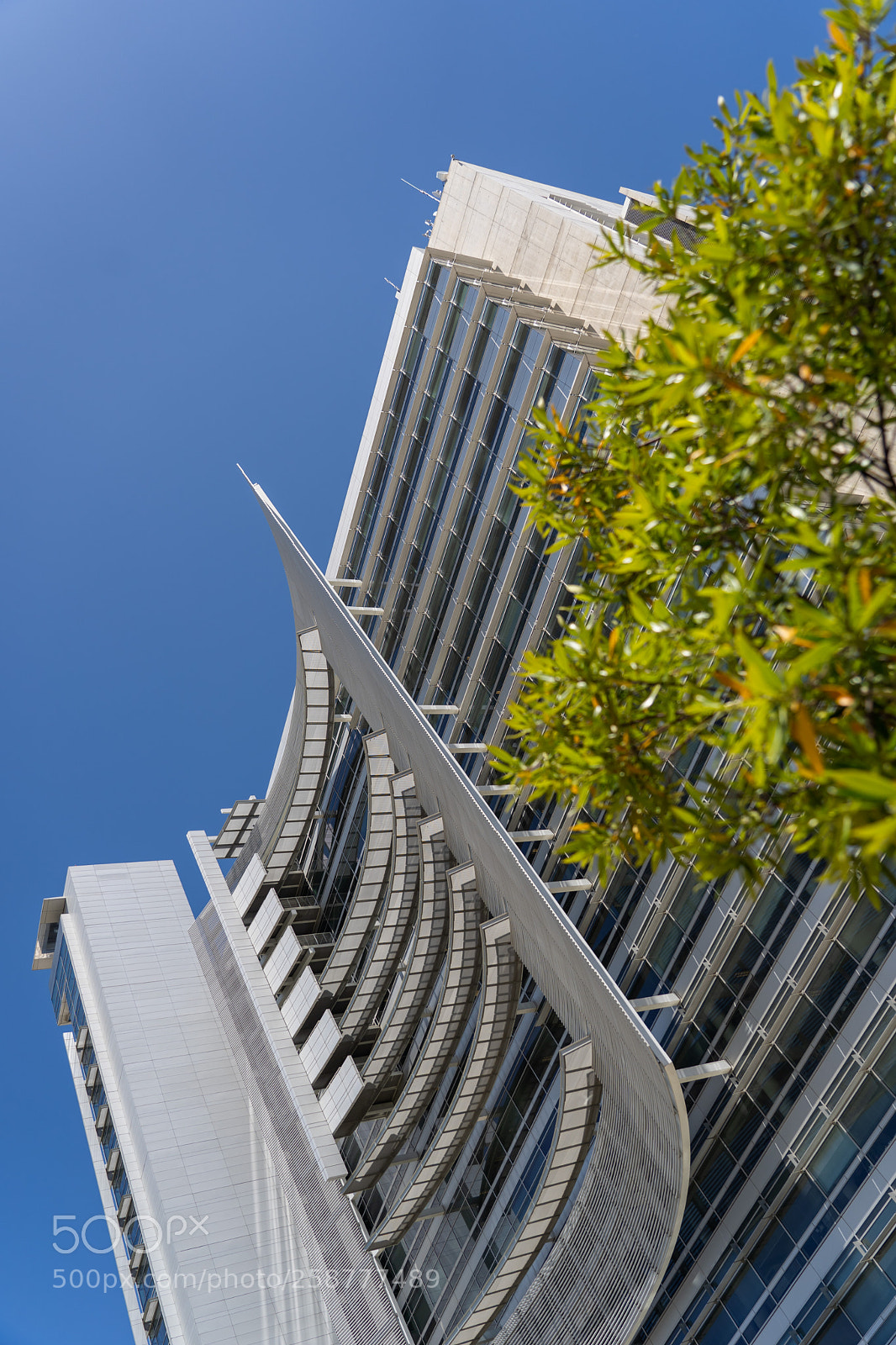 Sony a7 III sample photo. Downtown san jose photowalk photography