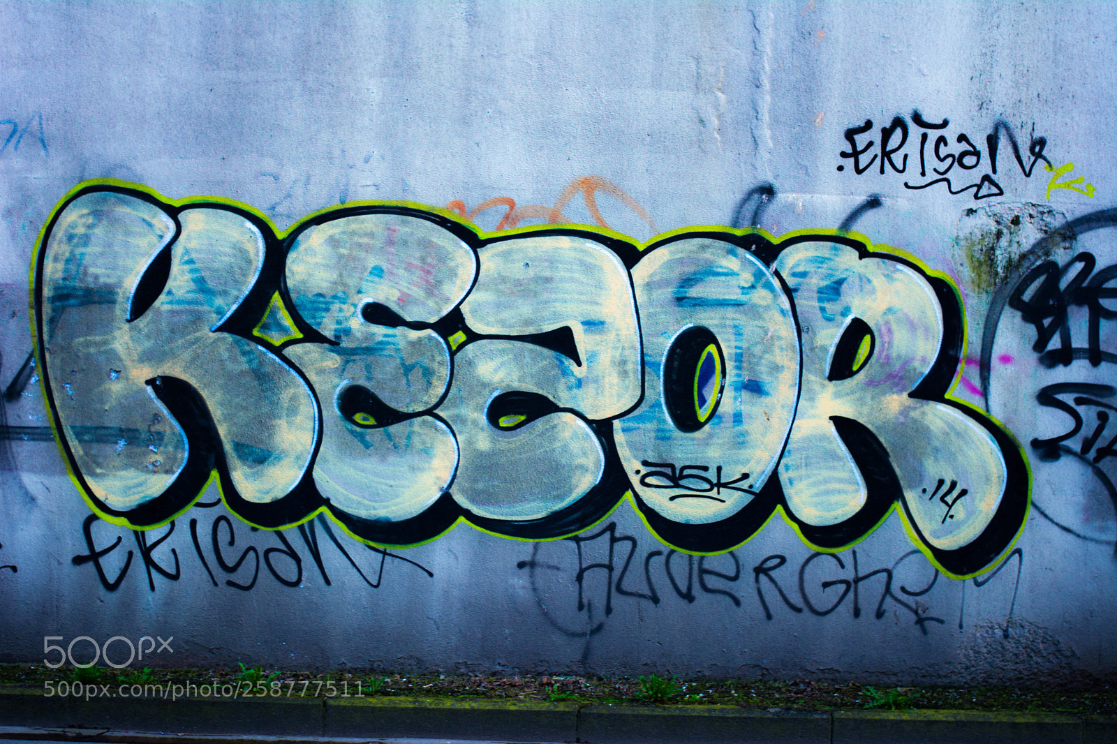 Nikon D5200 sample photo. Springbigheadparc photography