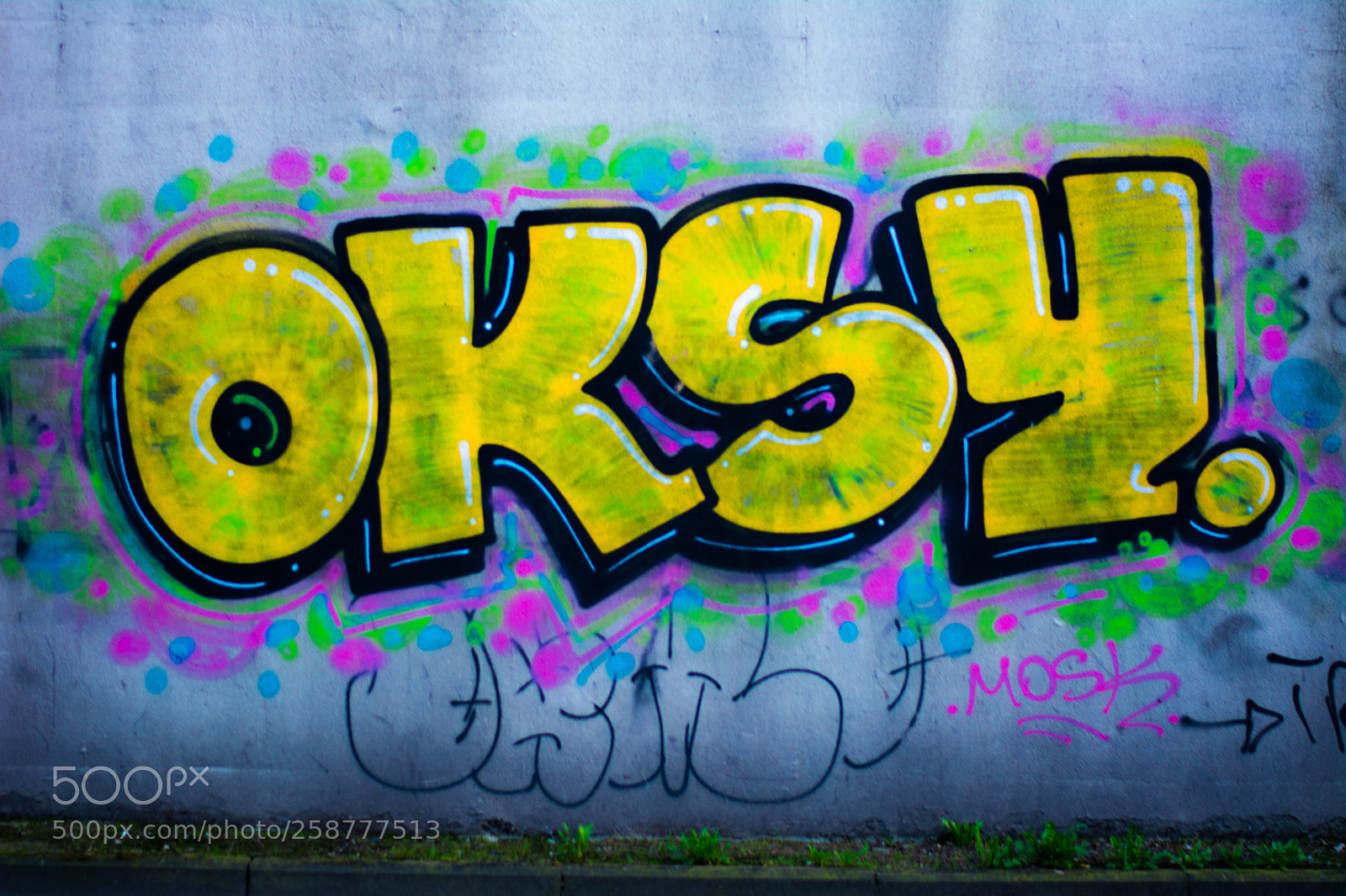 Nikon D5200 sample photo. Springbigheadparc photography
