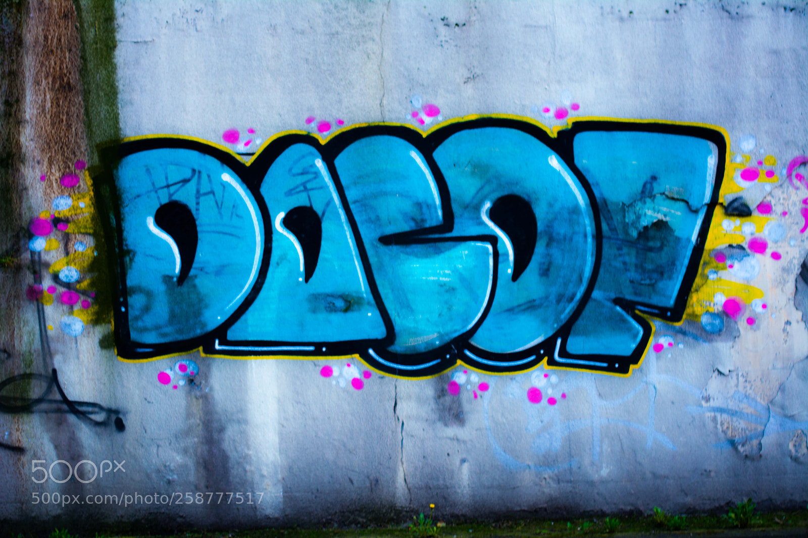 Nikon D5200 sample photo. Springbigheadparc photography