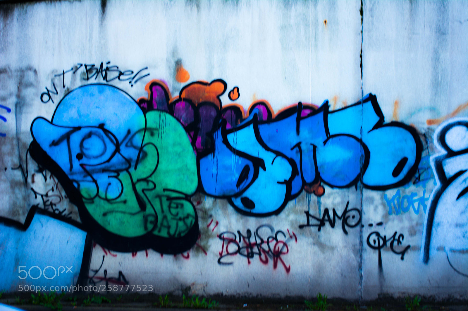 Nikon D5200 sample photo. Springbigheadparc photography