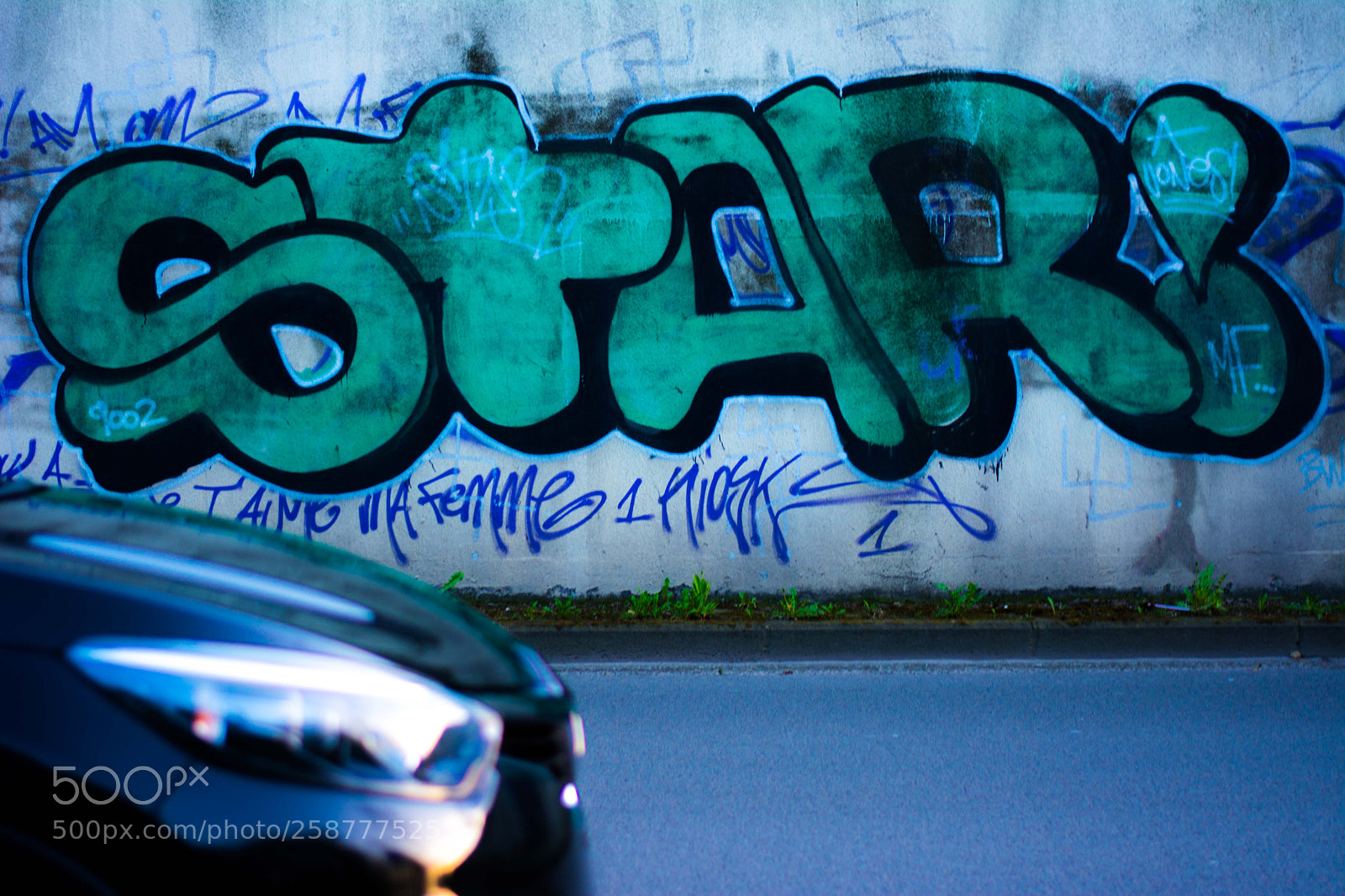 Nikon D5200 sample photo. Springbigheadparc photography