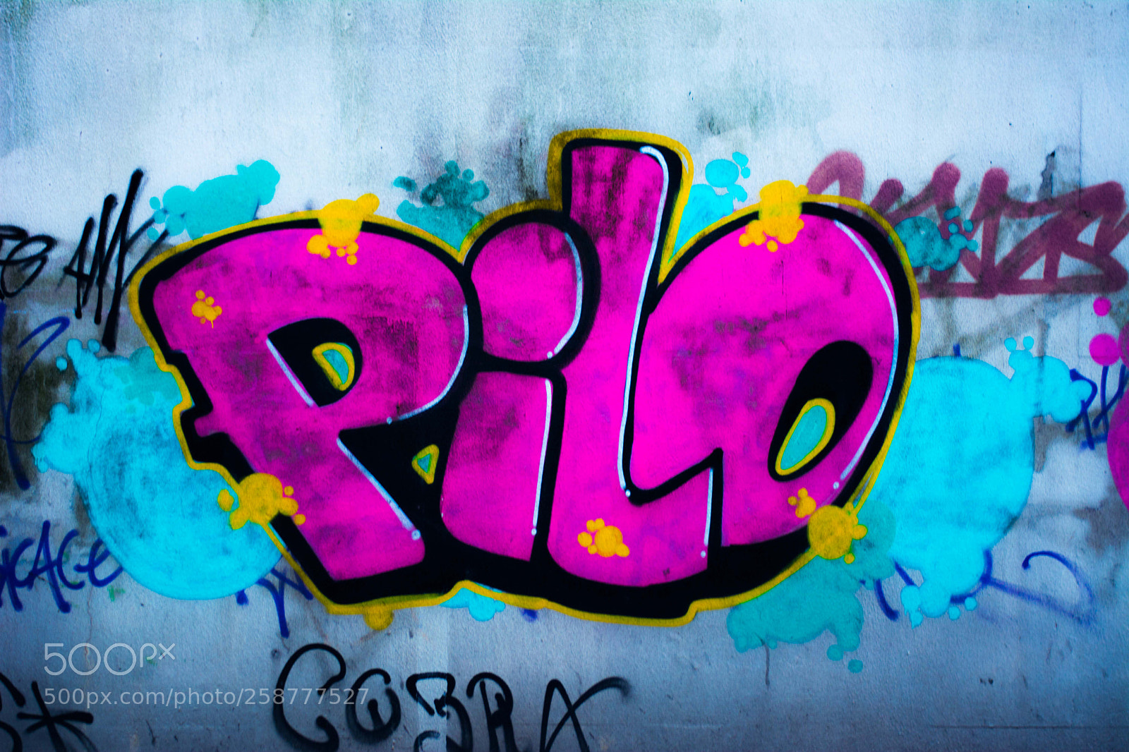 Nikon D5200 sample photo. Springbigheadparc photography