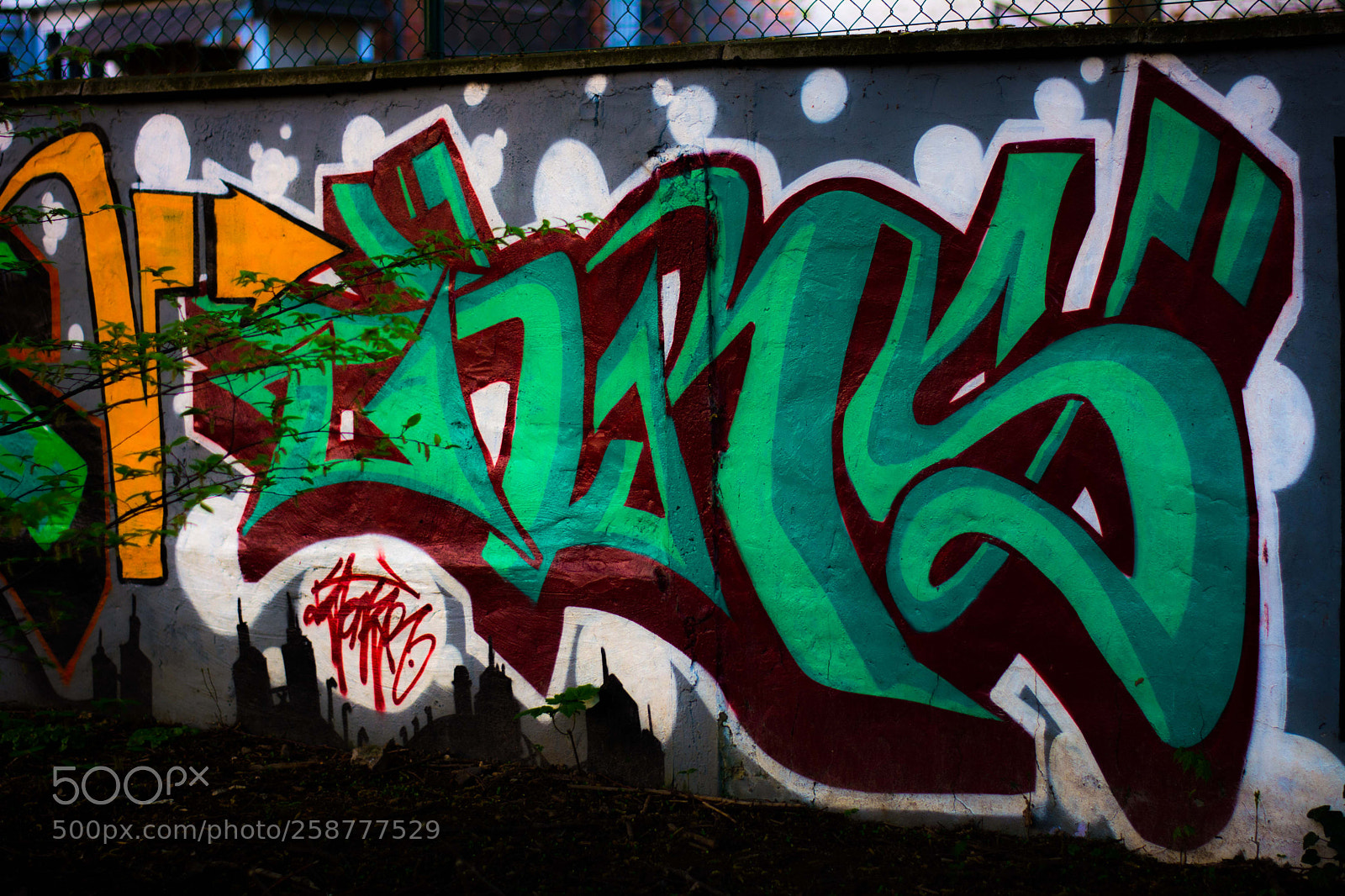 Nikon D5200 sample photo. Springbigheadparc photography