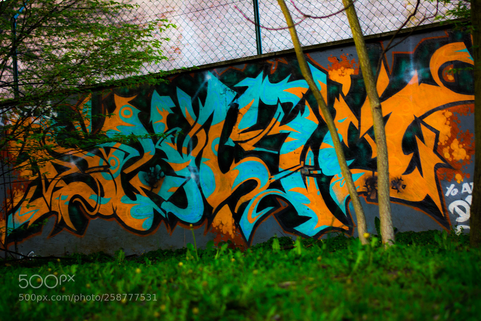 Nikon D5200 sample photo. Springbigheadparc photography