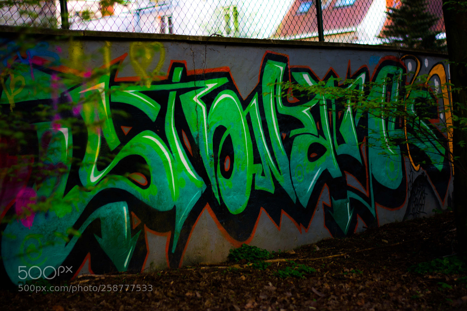 Nikon D5200 sample photo. Springbigheadparc photography