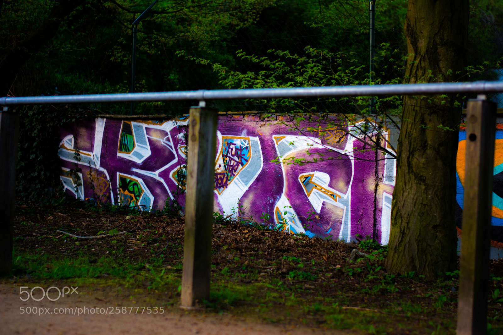 Nikon D5200 sample photo. Springbigheadparc photography