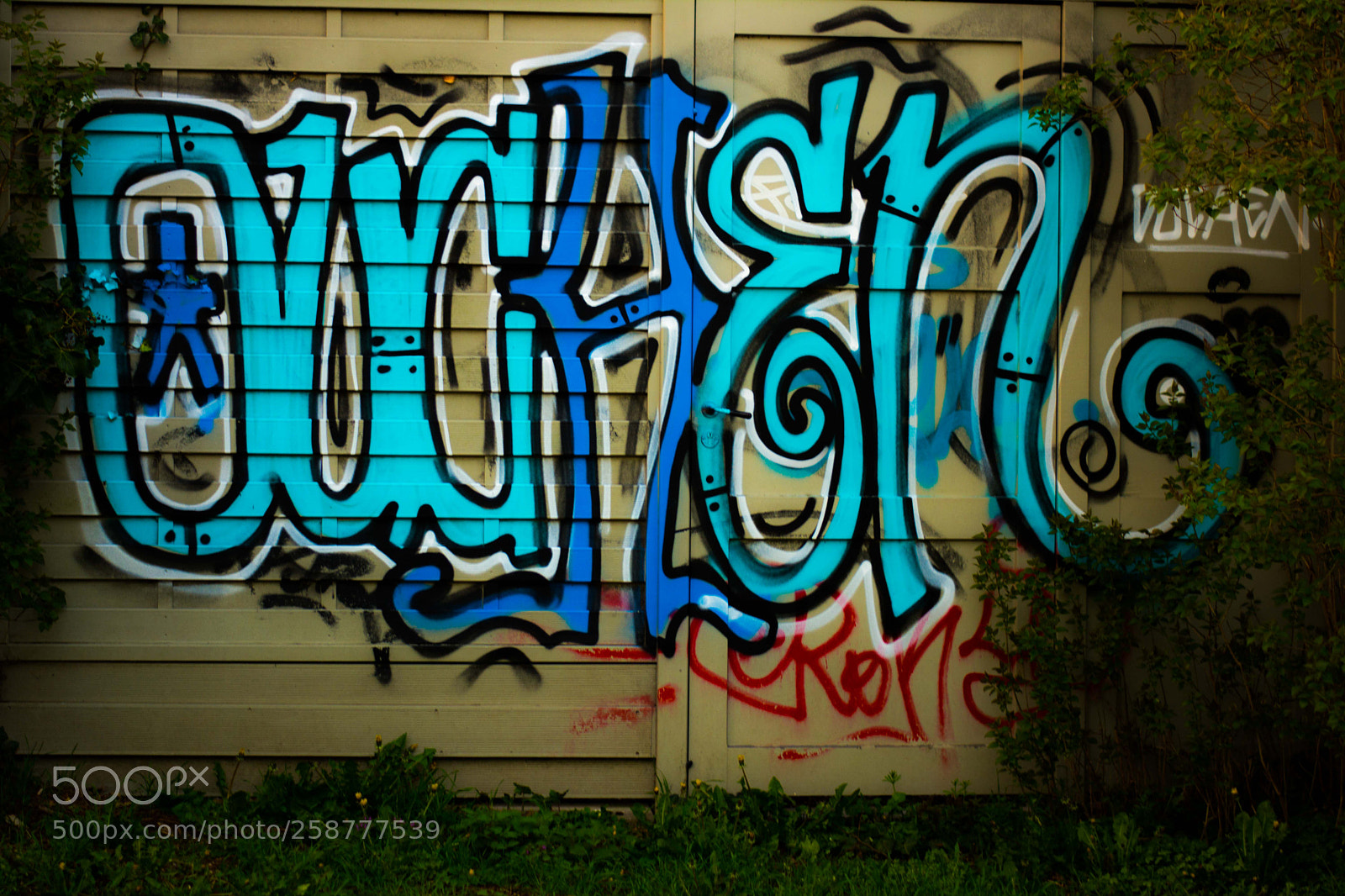 Nikon D5200 sample photo. Springbigheadparc photography