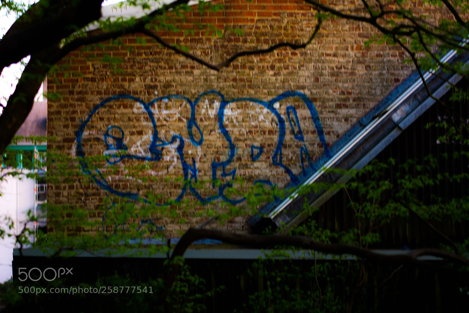 Nikon D5200 sample photo. Springbigheadparc photography