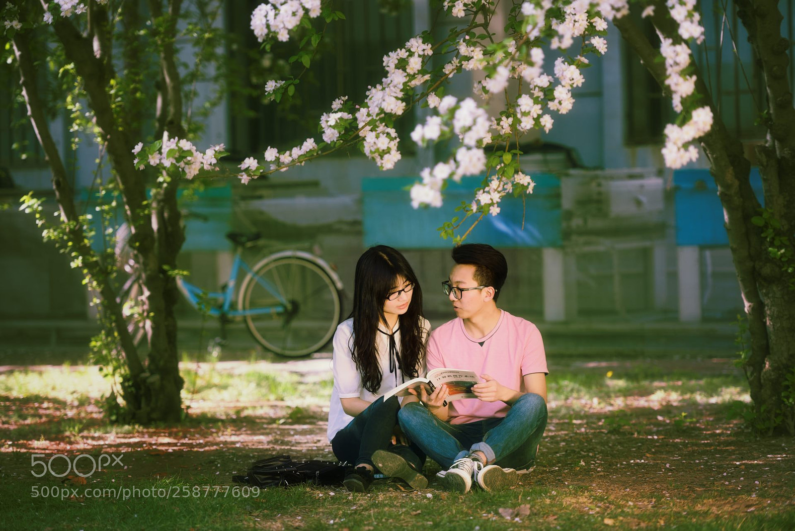 Nikon D800 sample photo. Bicycle lover photography
