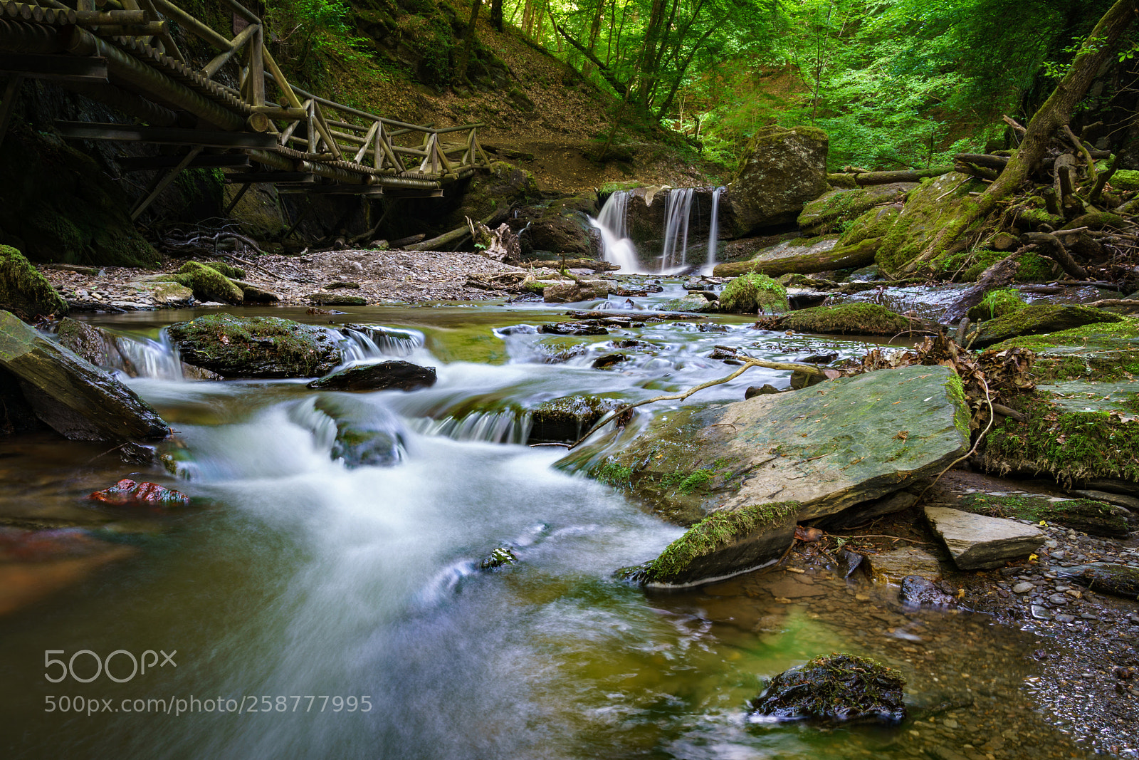 Sony a7R II sample photo. Ehrbachtal photography