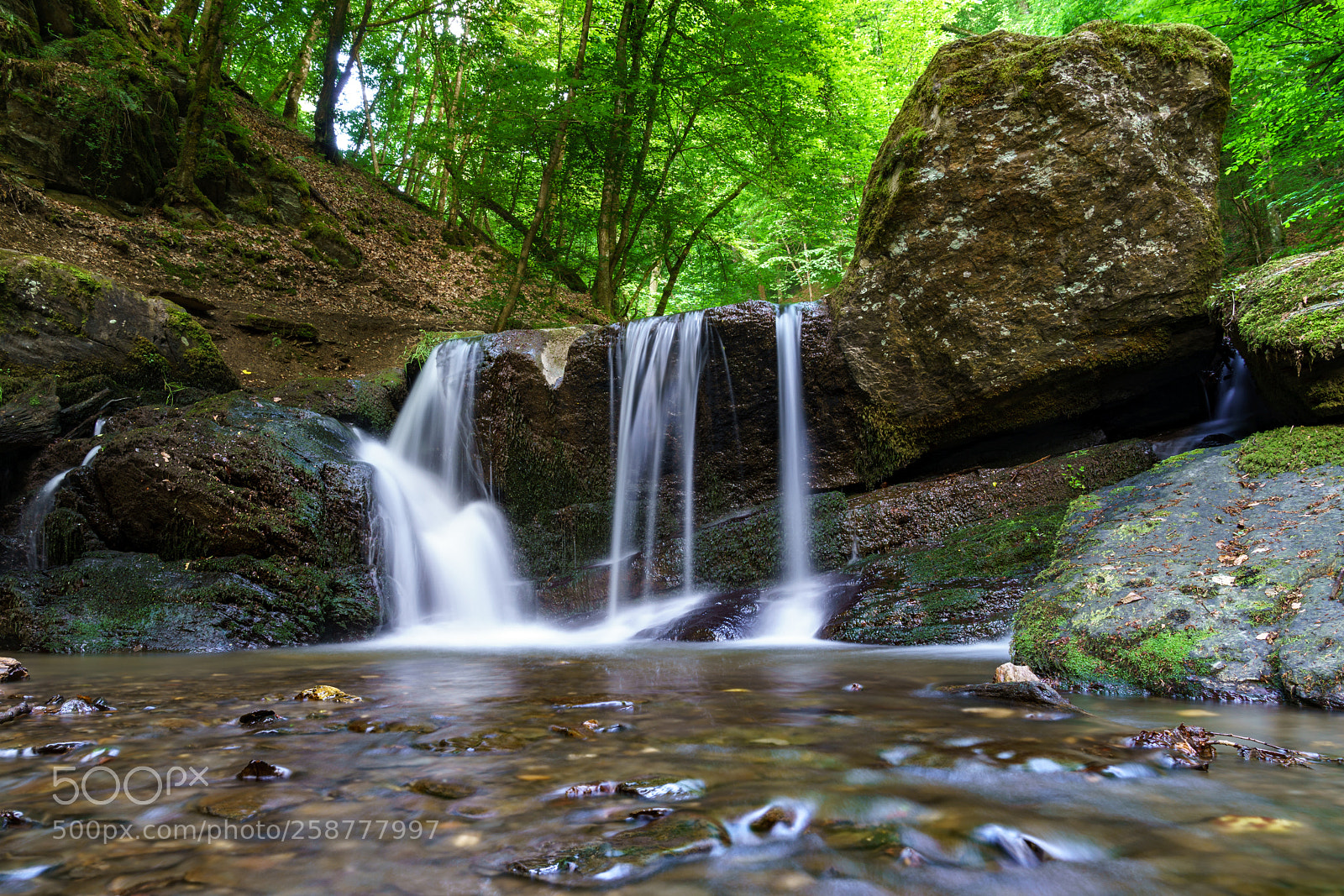 Sony a7R II sample photo. Ehrbachtal photography