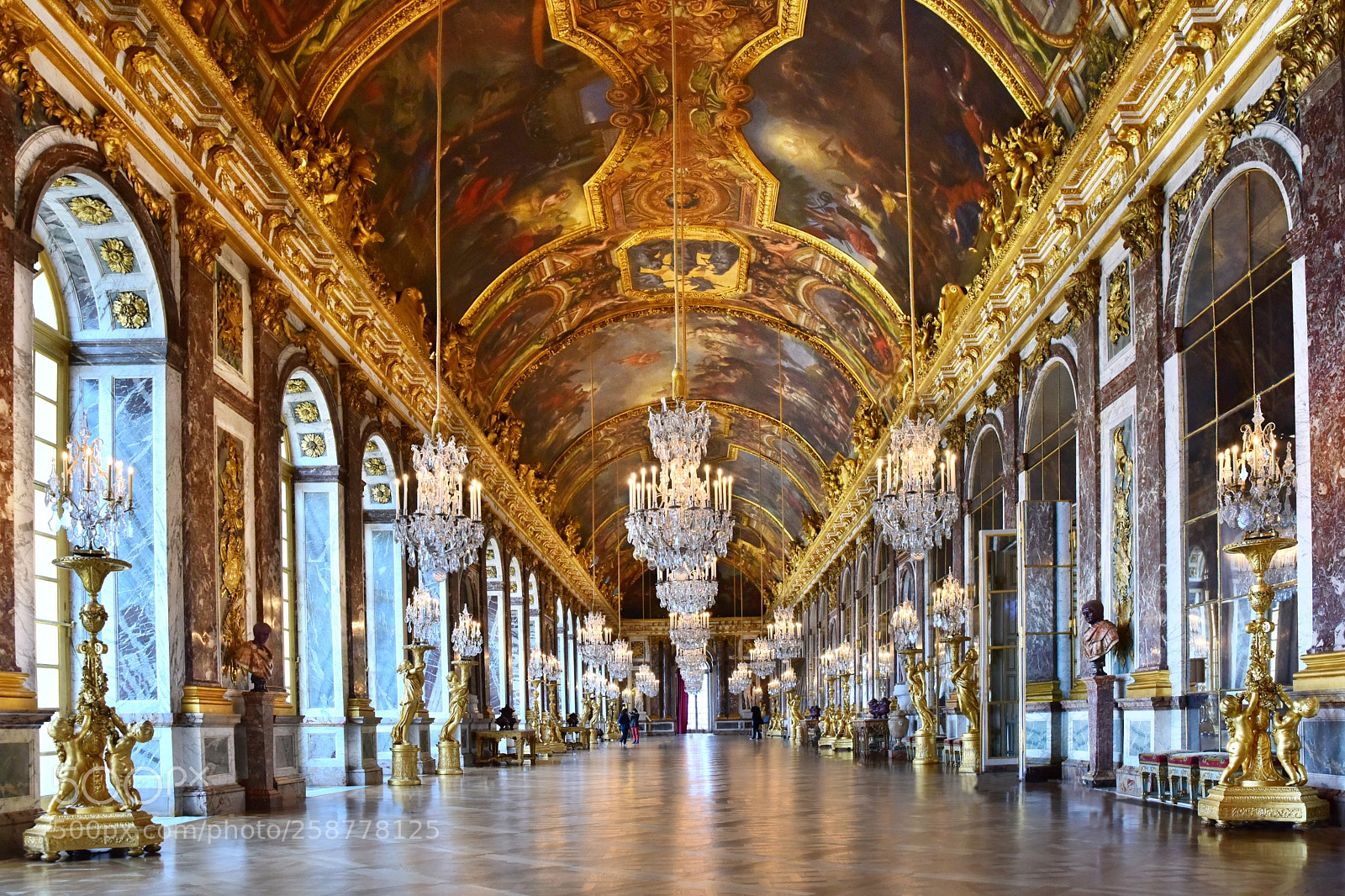 Nikon D810 sample photo. The hall of mirrors photography