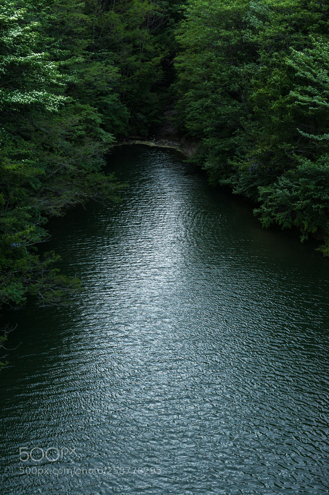 Sony SLT-A65 (SLT-A65V) sample photo. Dam photography