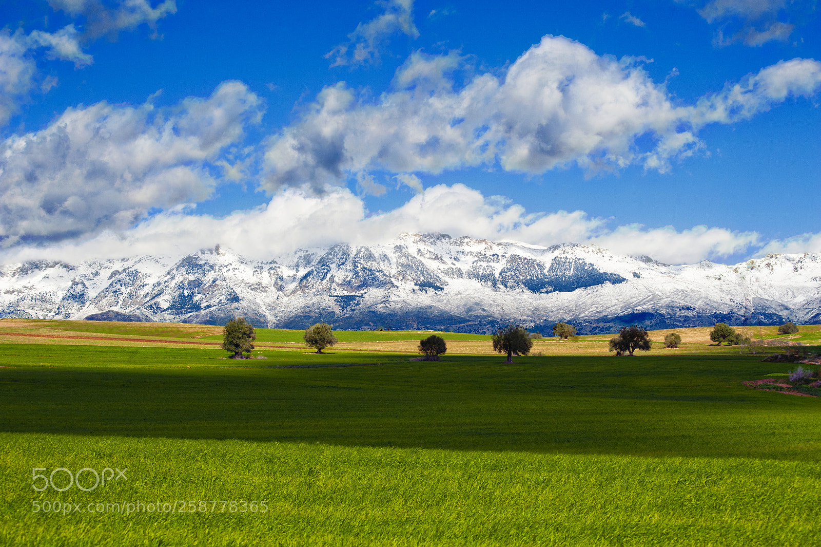 Nikon D700 sample photo. Bouira -kabylie /algérie photography