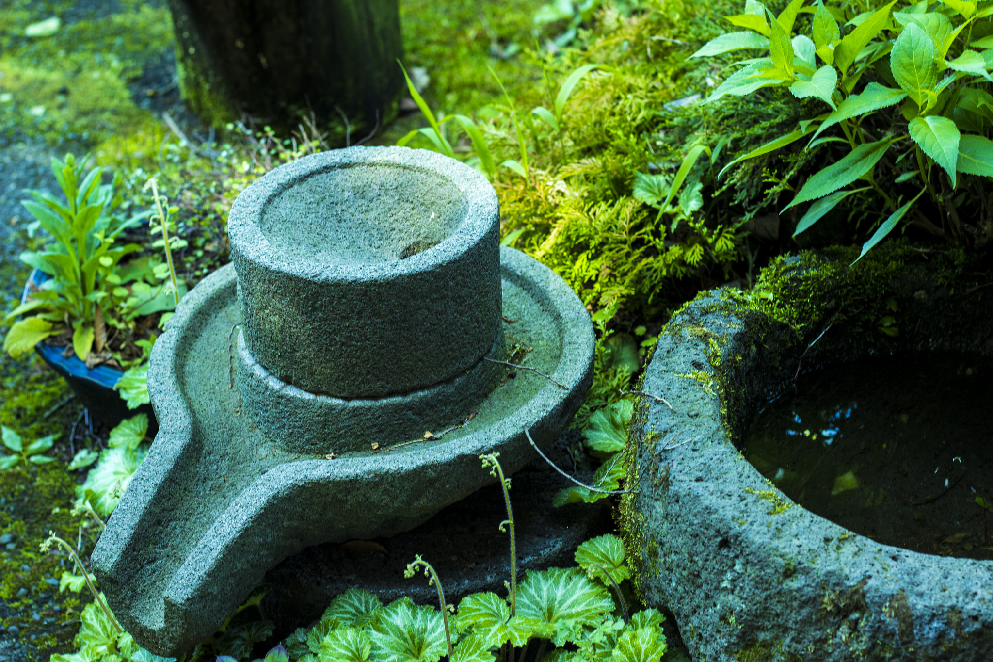 Canon EOS 600D (Rebel EOS T3i / EOS Kiss X5) sample photo. 石臼 millstone photography