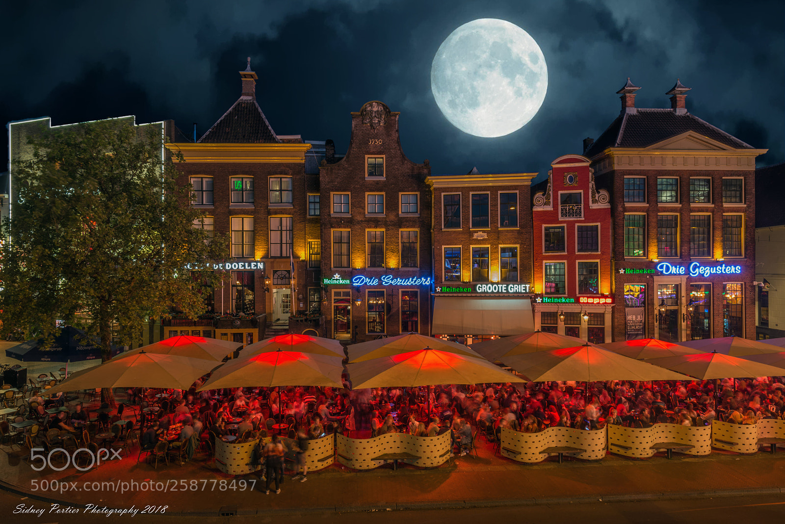 Nikon D600 sample photo. Groningen photography