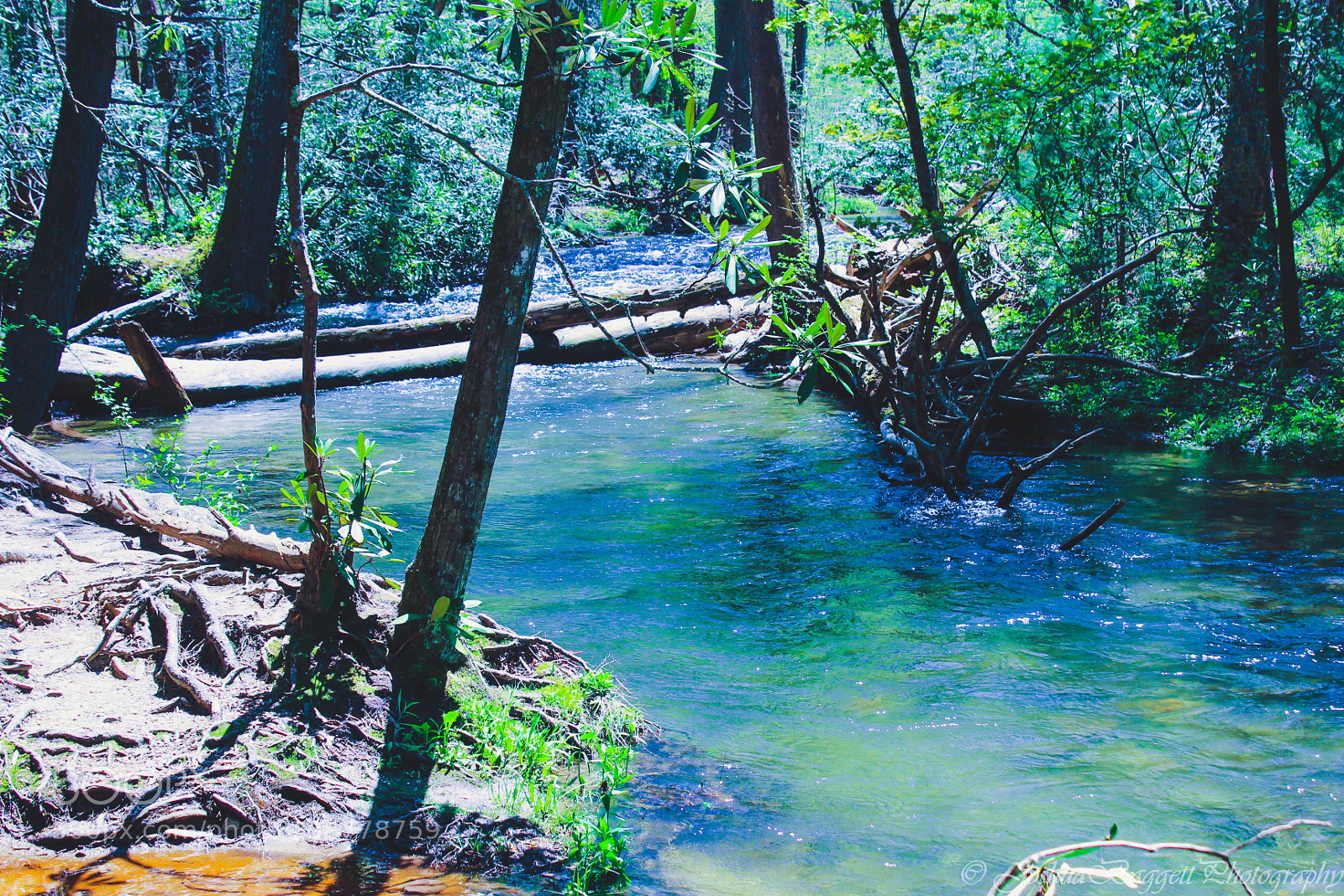 Canon EOS 1200D (EOS Rebel T5 / EOS Kiss X70 / EOS Hi) sample photo. Cades cove and fletcher photography