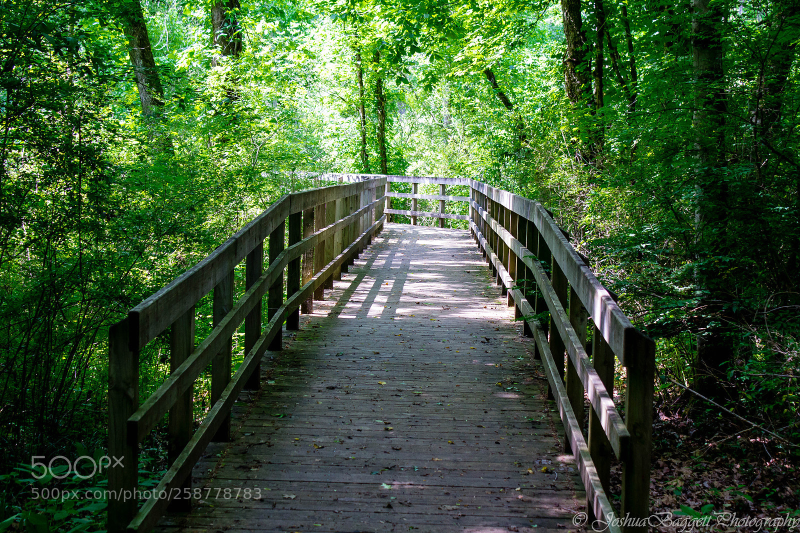 Canon EOS 1200D (EOS Rebel T5 / EOS Kiss X70 / EOS Hi) sample photo. Cades cove and fletcher photography