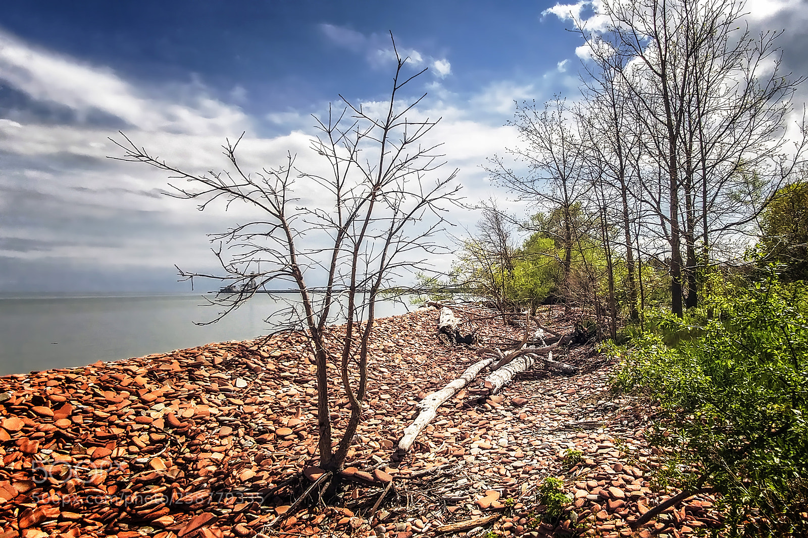 LG G5 sample photo. Lakeside park photography