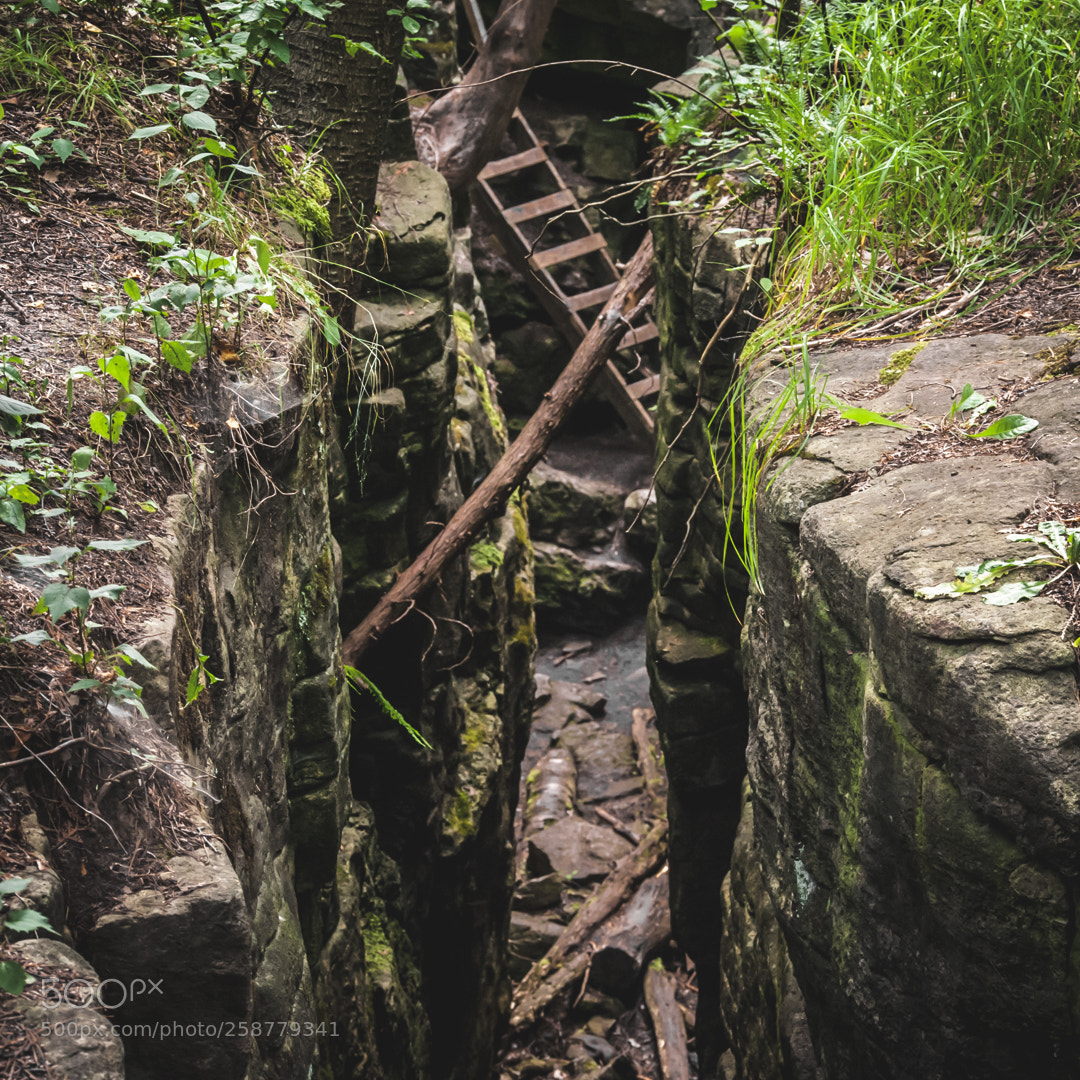 Nikon D3000 sample photo. Through the fissures photography