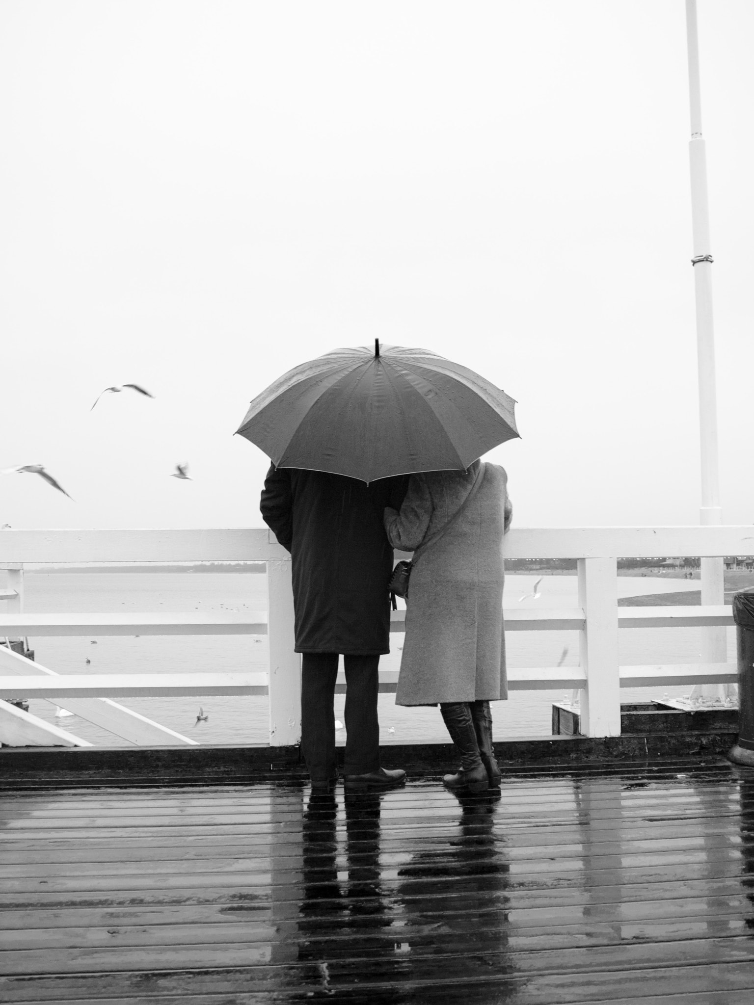 Olympus E-450 (EVOLT E-450) sample photo. Couple photography