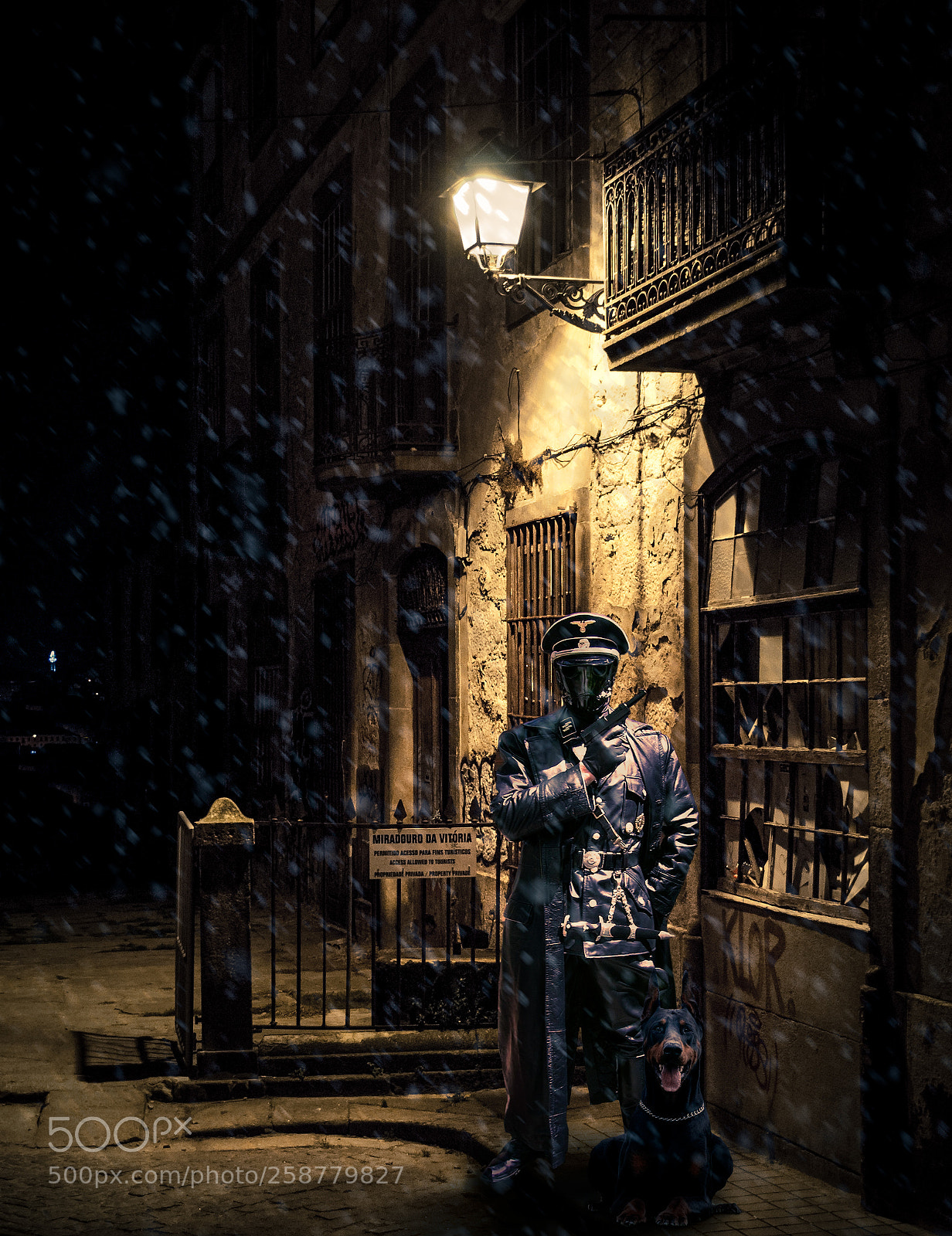 Nikon D3000 sample photo. Marauder photography