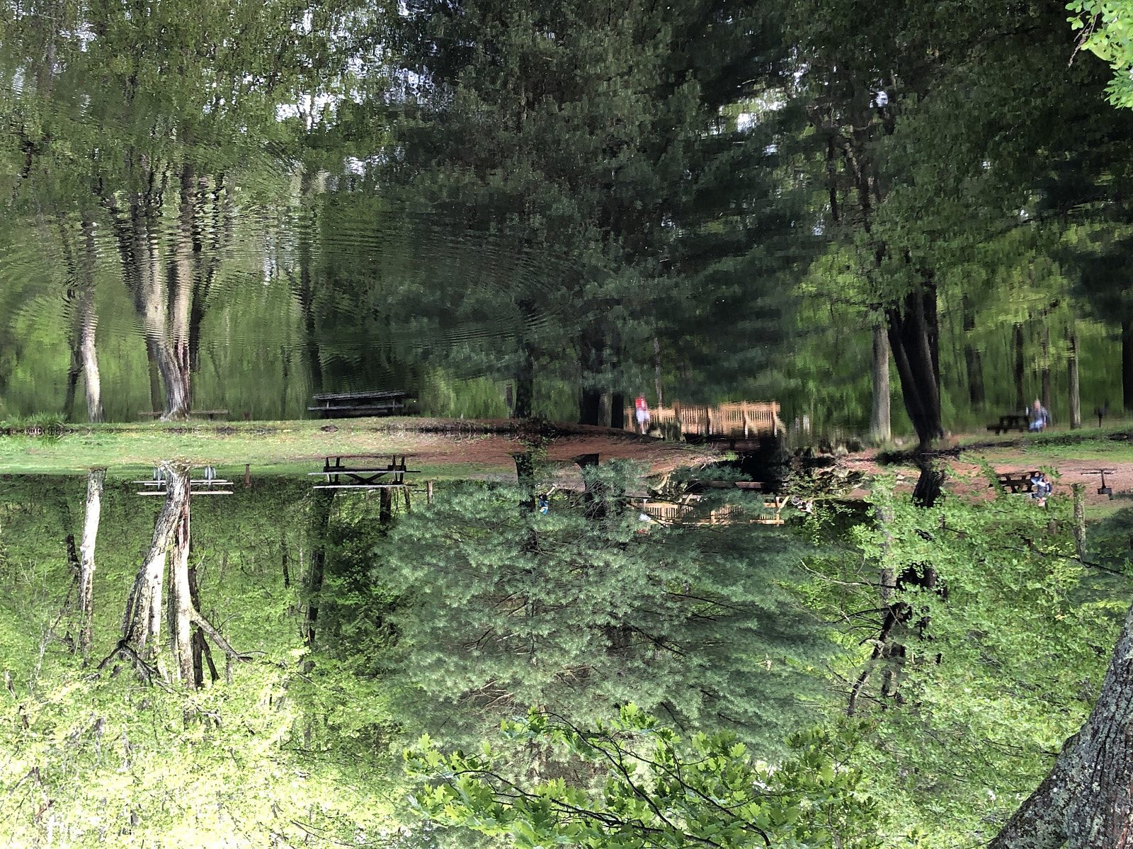 Apple iPhone X sample photo. Bridge and a creek photography