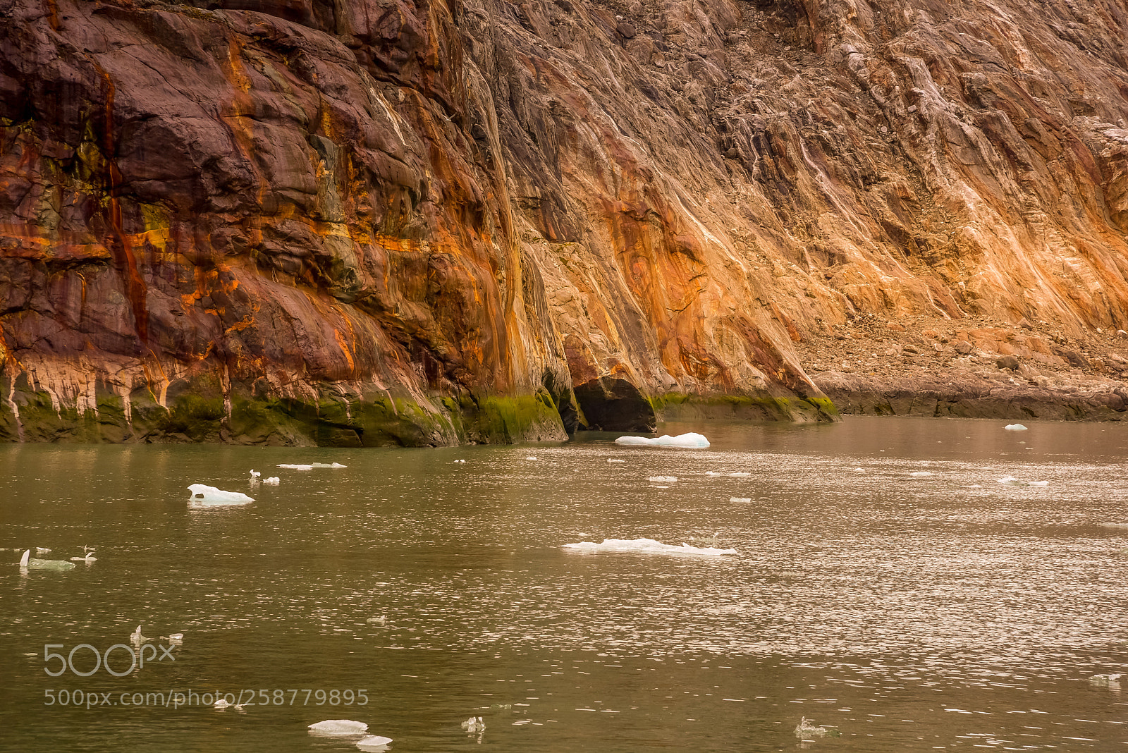 Nikon D750 sample photo. Tracy arm fjord photography
