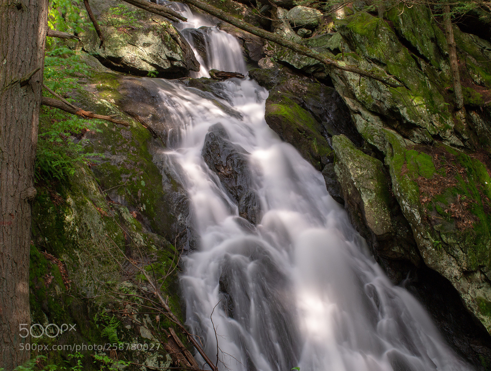 Nikon D7200 sample photo. Silky smooth photography