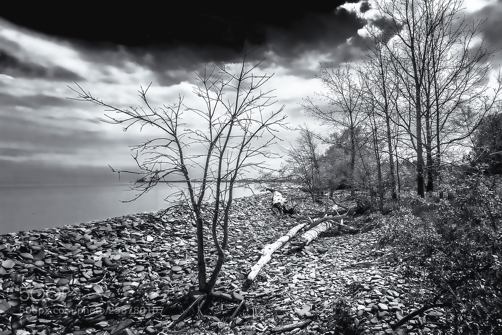 LG G5 sample photo. Lakeside park photography