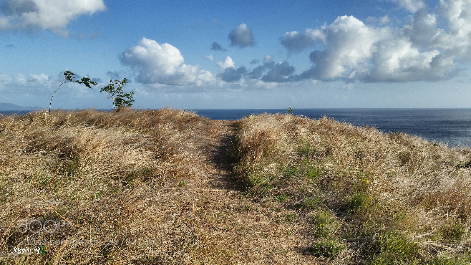 Samsung Galaxy Note4 sample photo. Path to nowhere photography