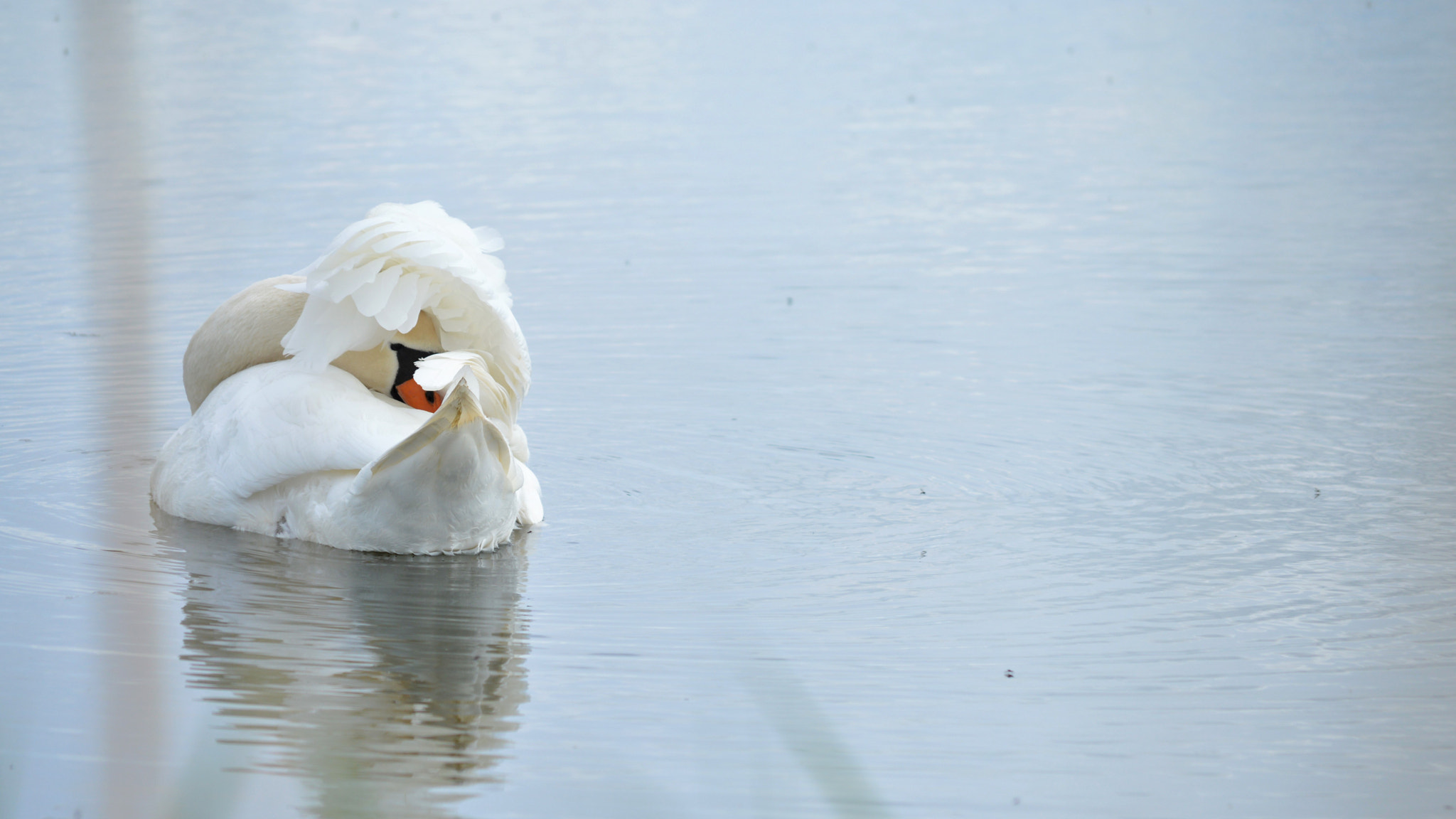 Nikon D3200 sample photo. Untitled photography