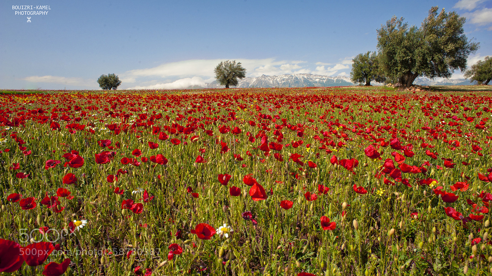 Nikon D700 sample photo. Bouira kabylie/algerie photography