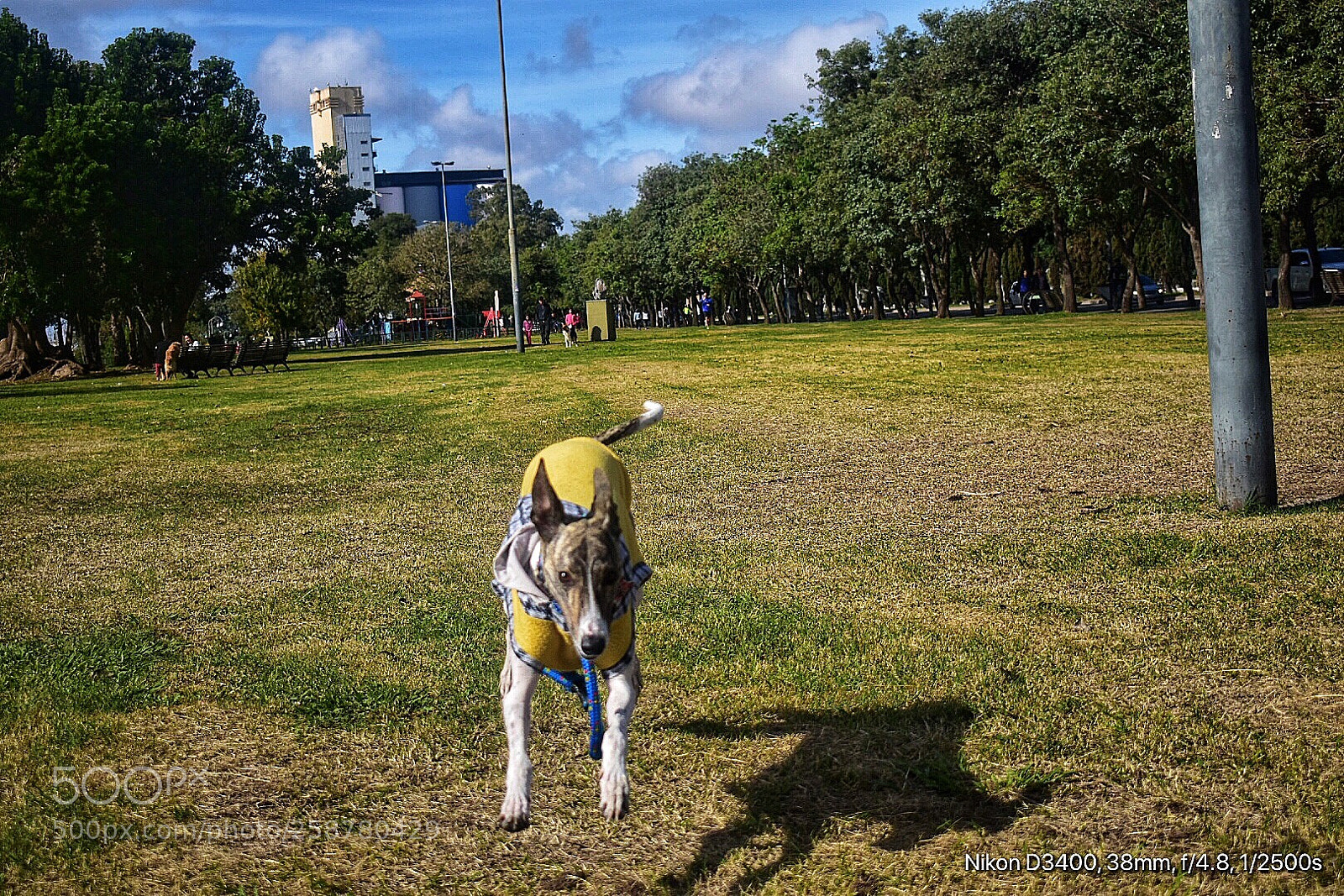 Nikon D3400 sample photo. Lupita del aire.. parte photography