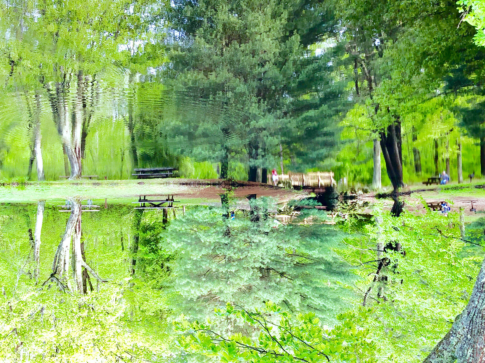 Apple iPhone X sample photo. Trees, bridge, and creek photography