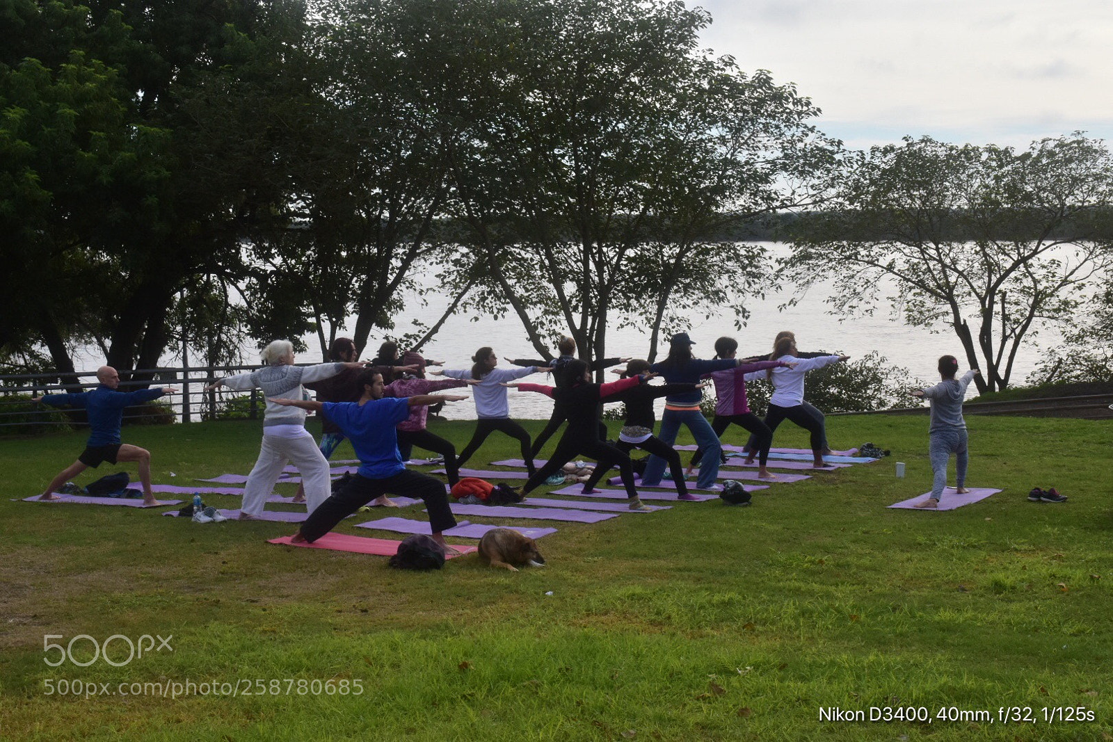 Nikon D3400 sample photo. Hagamos yoga ‍♀️ photography