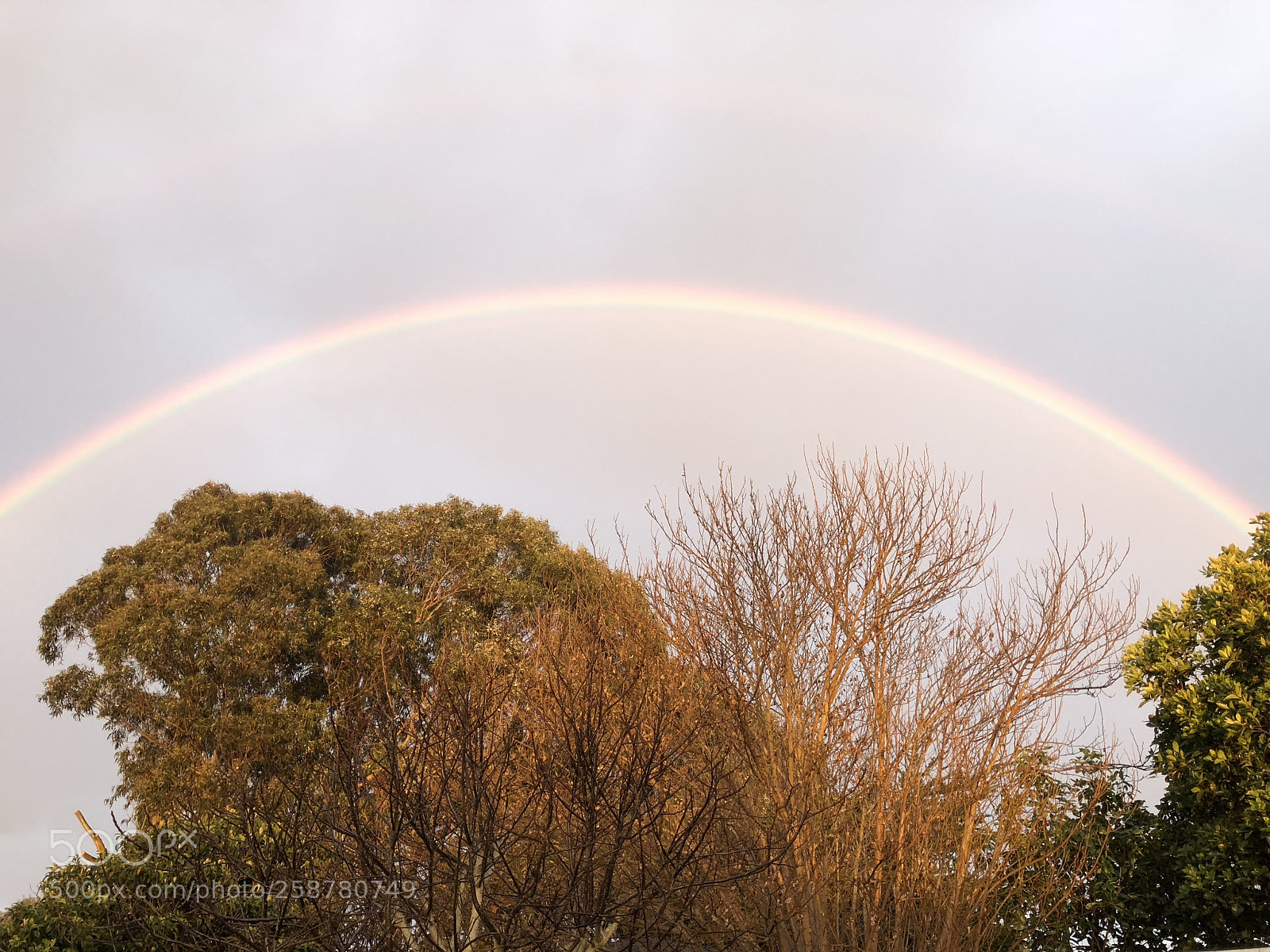Apple iPhone 8 sample photo. West coast rainbow photography