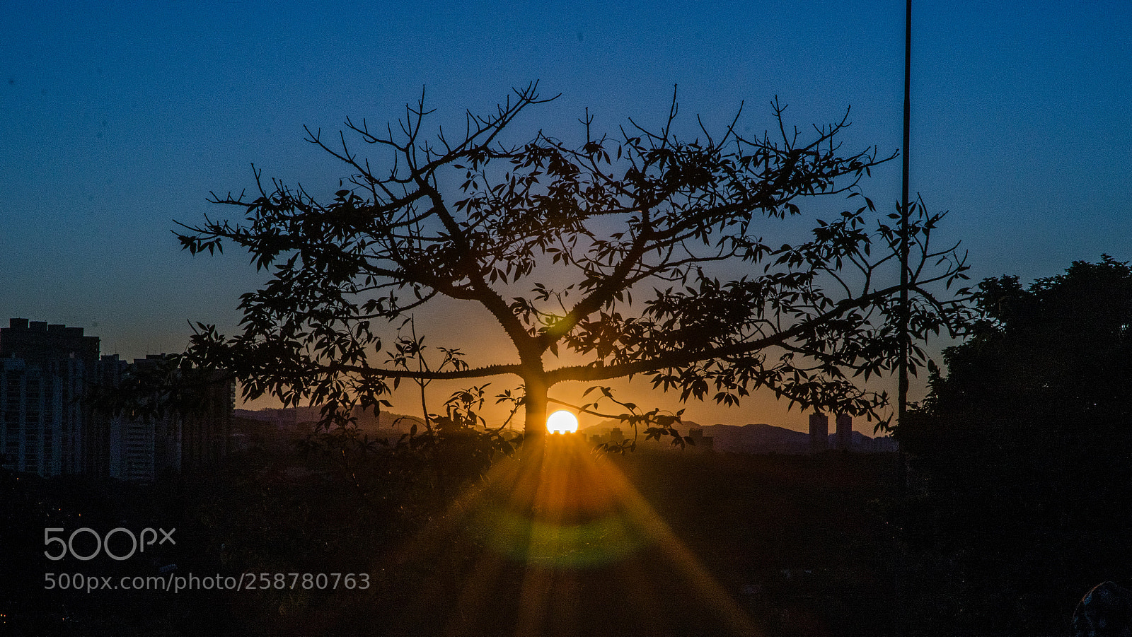 Nikon D7000 sample photo. Sun photography