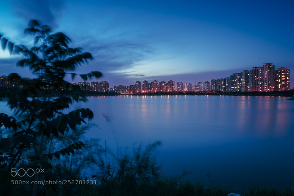 Canon EOS 6D Mark II sample photo. Evening photography