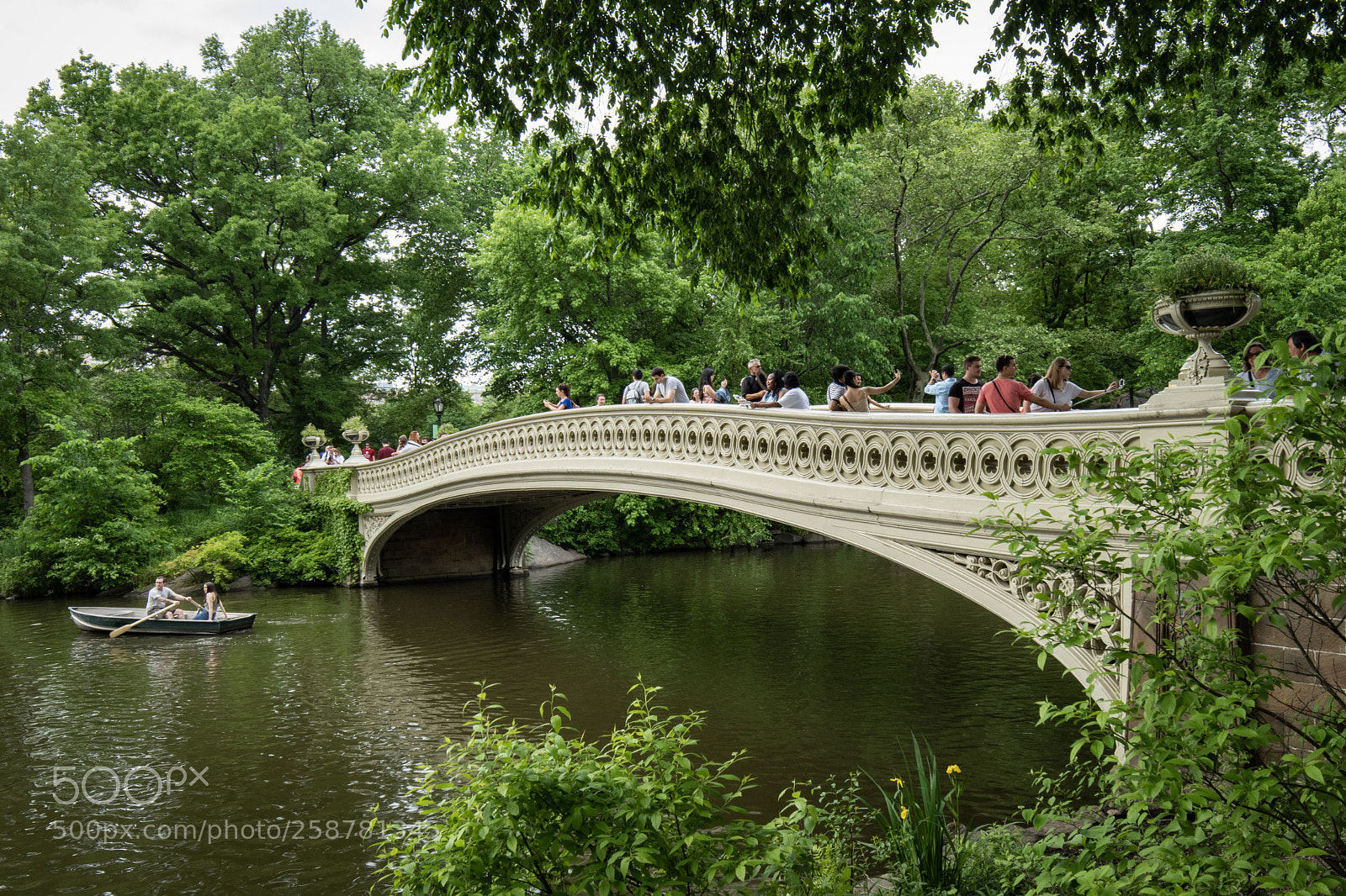 Nikon D500 sample photo. Untitled photography
