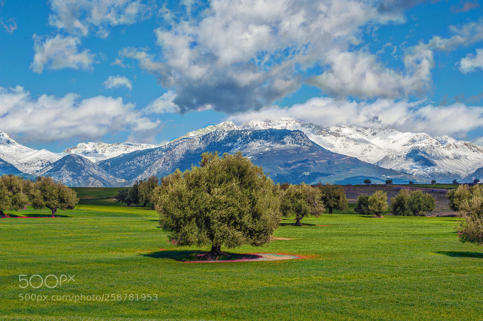 Nikon D700 sample photo. Kabylie photography