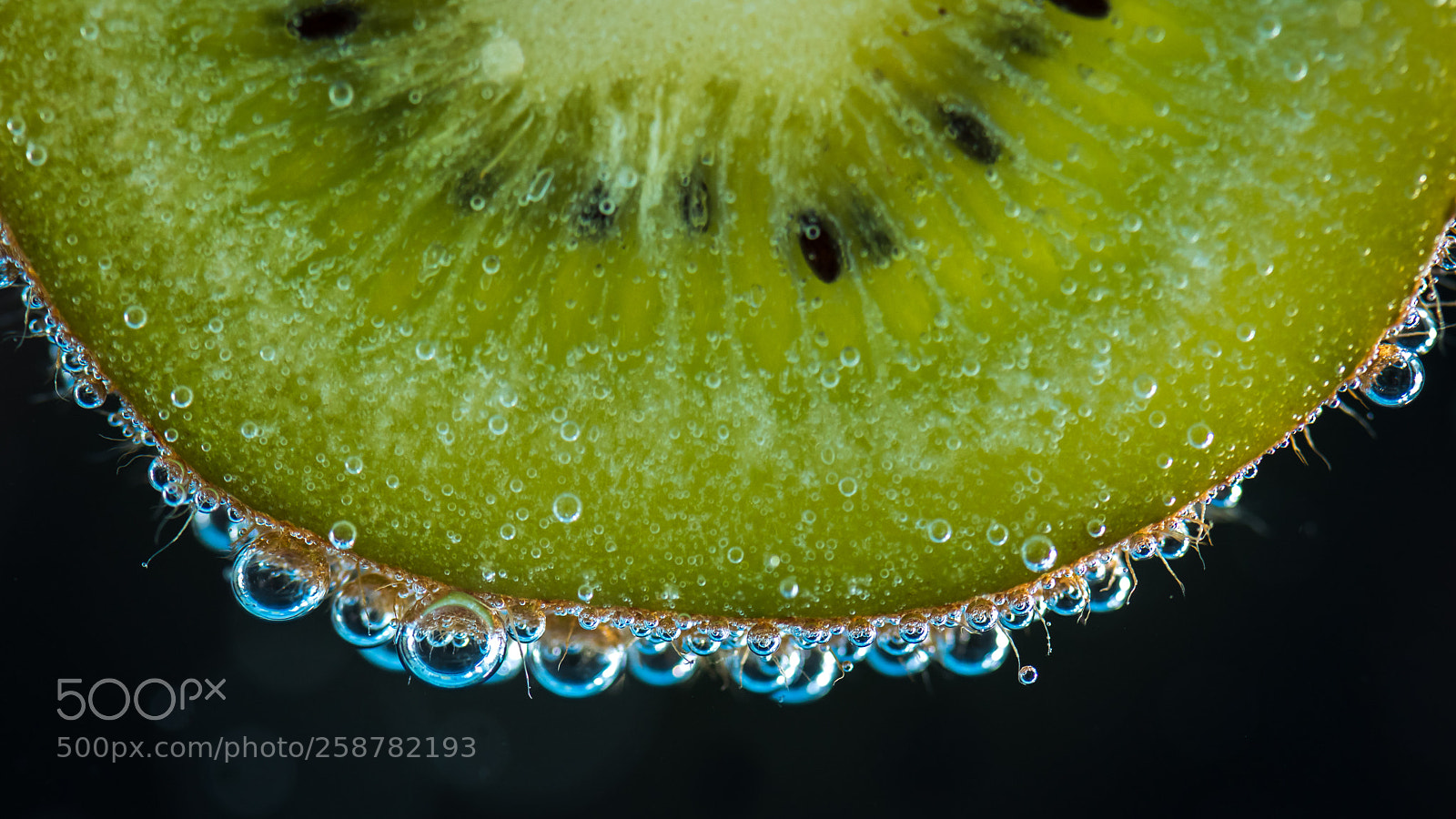 Nikon D750 sample photo. Kiwi photography