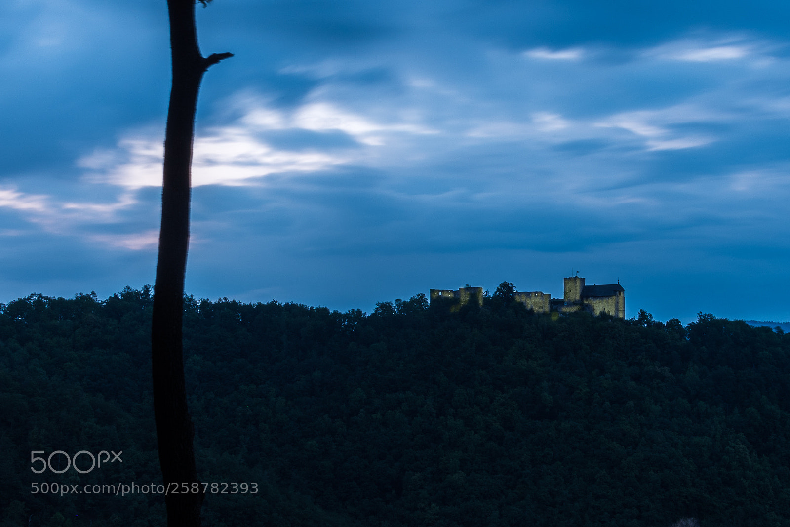 Nikon D7500 sample photo. Burgruine gösting photography