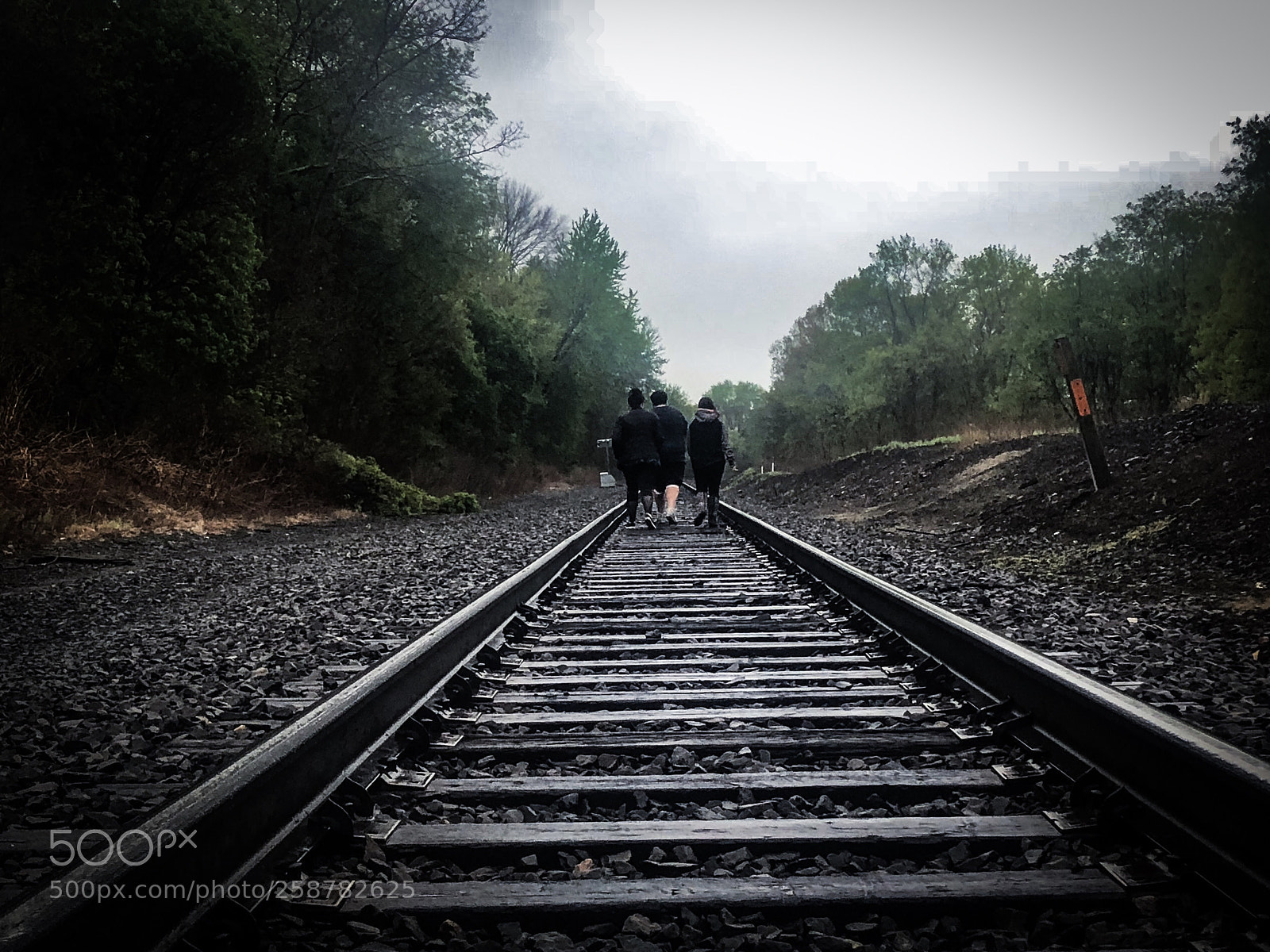 Apple iPhone 8 Plus sample photo. Dreary train tracks  photography