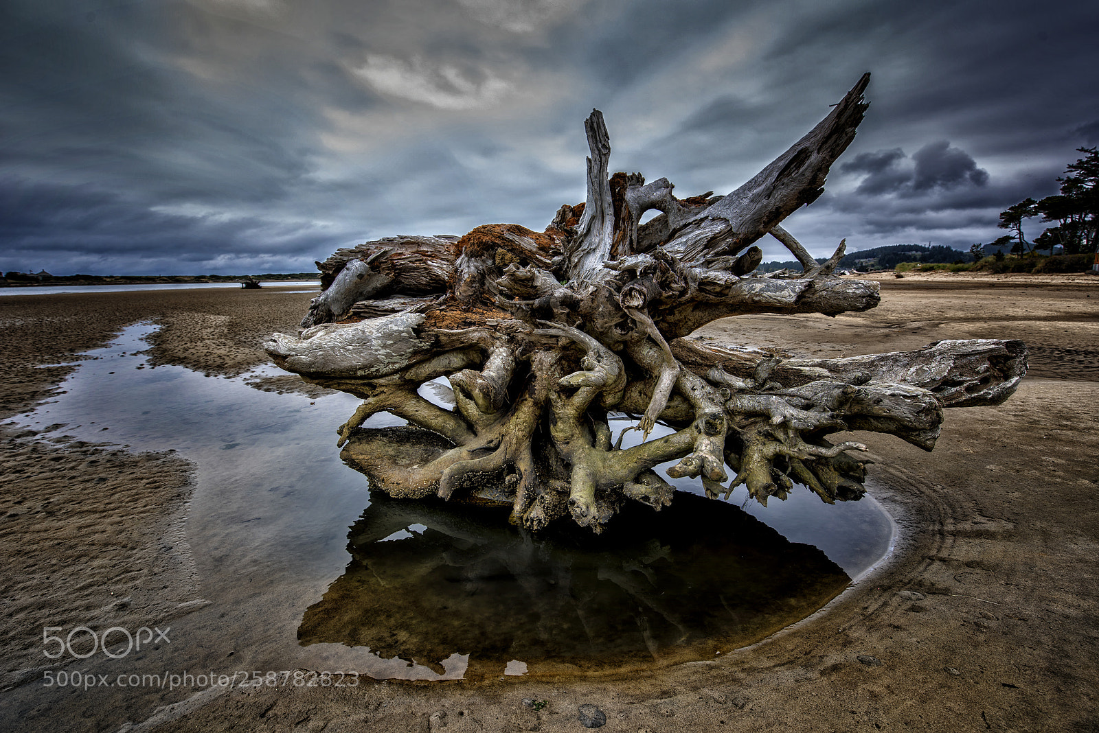 Nikon D810 sample photo. Depoe bay 1 photography