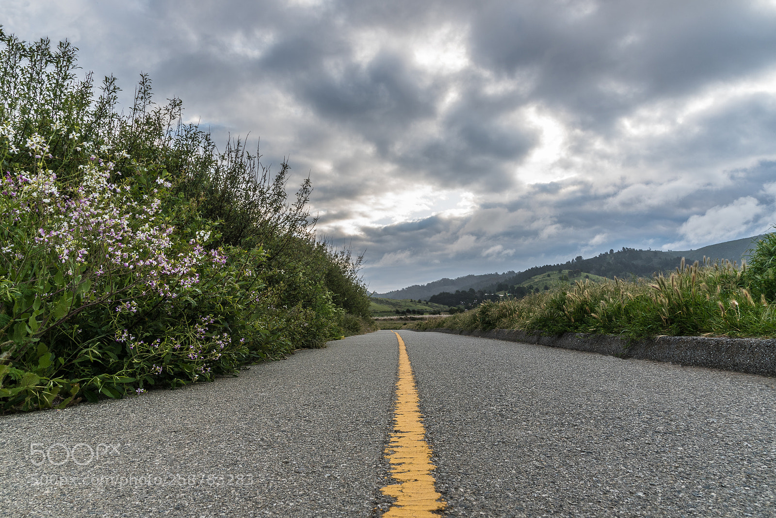Nikon D750 sample photo. Pacifica photography
