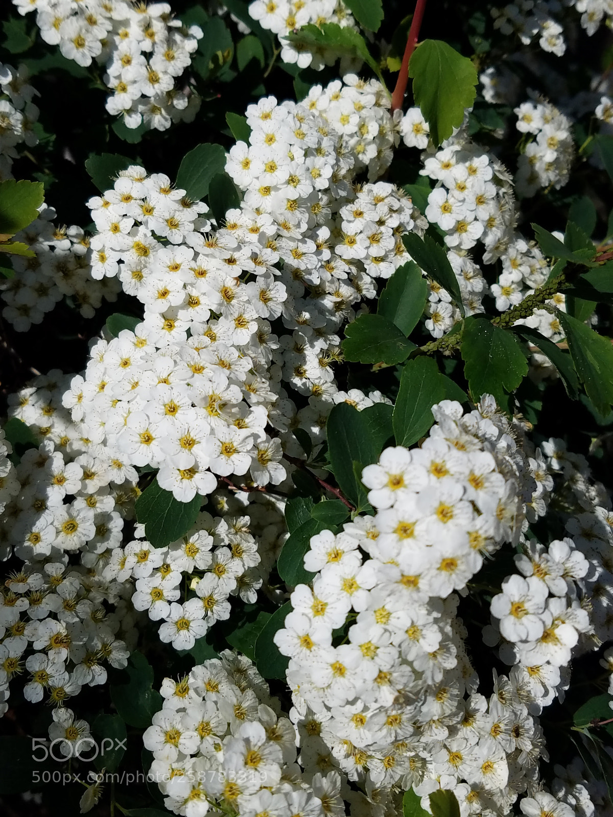 Samsung Galaxy S7 sample photo. Untitled photography